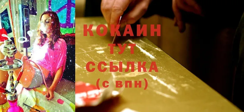 дарнет шоп  hydra ONION  Cocaine Эквадор  Буинск 